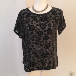 Burnout velvet scoop neck T